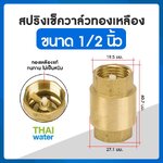 สปริงเช็ควาล์ว 1/2"
