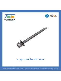 สกรูเจาะเหล็ก 100 mm