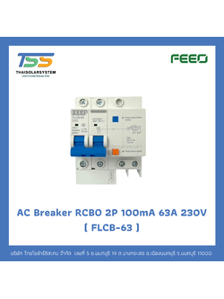เบรกเกอร์ RCBO 2P 63A 100mA 230V (FLCB-63) FEEO