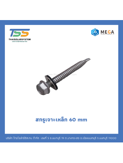 สกรูเจาะเหล็ก 60 mm