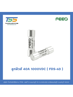ลูกฟิวส์ FEEO DC Fuse 40A 1000V