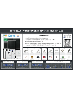 ชุด Hybrid 0ngrid Deye 12600W 3 phase + Battery Lithium LVTOPSUN (เฉพาะของ)