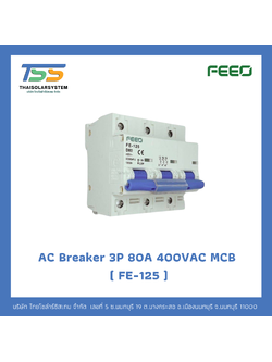เบรกเกอร์ FEEO AC 80A 400VAC 3P (FE-125)
