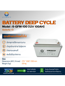 แบตเตอรี่ Deep Cycle GEL 100Ah 12V LVTOPSUN (ประกัน 1 ปี)