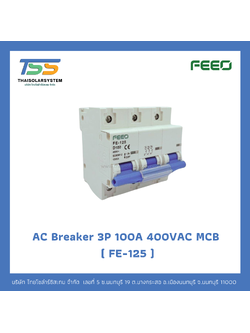 เบรกเกอร์ FEEO AC 100A 400VAC 3P (FE-125)