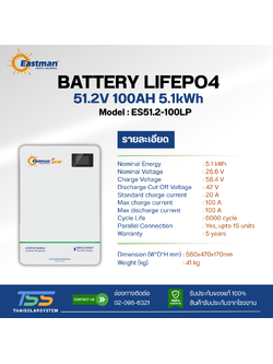 BATTERY LIFEPO4 EASTMAN 100Ah 51.2V (ประกัน 5ปี)