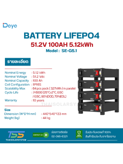 BATTERY DEYE 100Ah 51.2V SE-G5.1 RACK(ประกัน 10ปี)