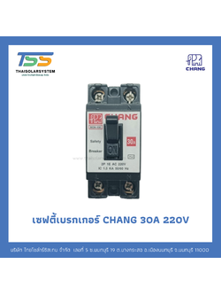 Safety Breaker CHANG 2P 220V ขนาด 30A