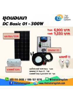 ชุดนอนนา DC Basic 01 - 300W ***แผงโซล่า+แบตเตอรี่*** !!!แถมฟรี!!! หลอดไฟ 1 หลอด