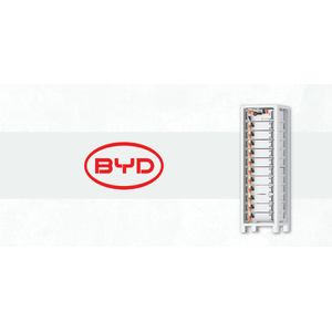 BYD