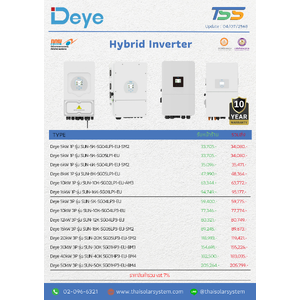DEYE Hybrid Inverter