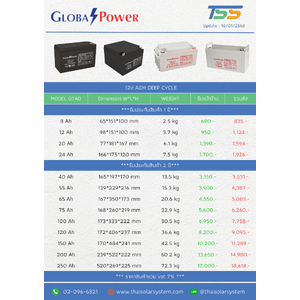 แบตเตอรี่ Global power