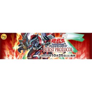 1303 - Burst Protocol [BPRO-JP]