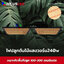 ไฟปลูกต้นไม้ (W) LED Growlight Warm white 240w