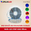 ไฟ LED เส้น Strip3528 120LED IP65 สีพิเศษ 5เมตร/ม้วน