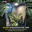 ไฟปลูกต้นไม้ (W) LED Growlight Warm white120w