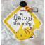 ป้ายมือใหม่หัดขับโปเกม่อนปิกกาจู Pokemon New arrival!