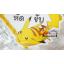 ป้ายมือใหม่หัดขับโปเกม่อนปิกกาจู Pokemon New arrival!