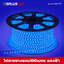ไฟสายยาง LED Rope light แบบแบน100เมตร