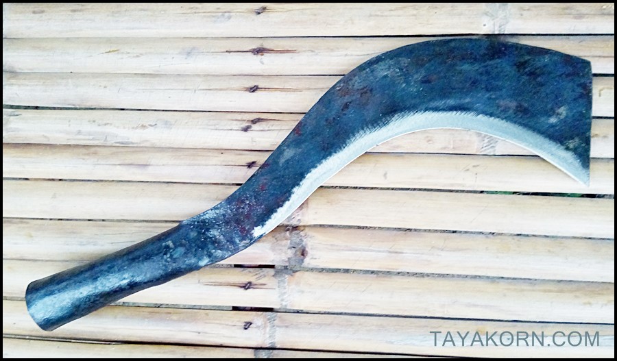 มีดขอตัดไม้ TKSS-1