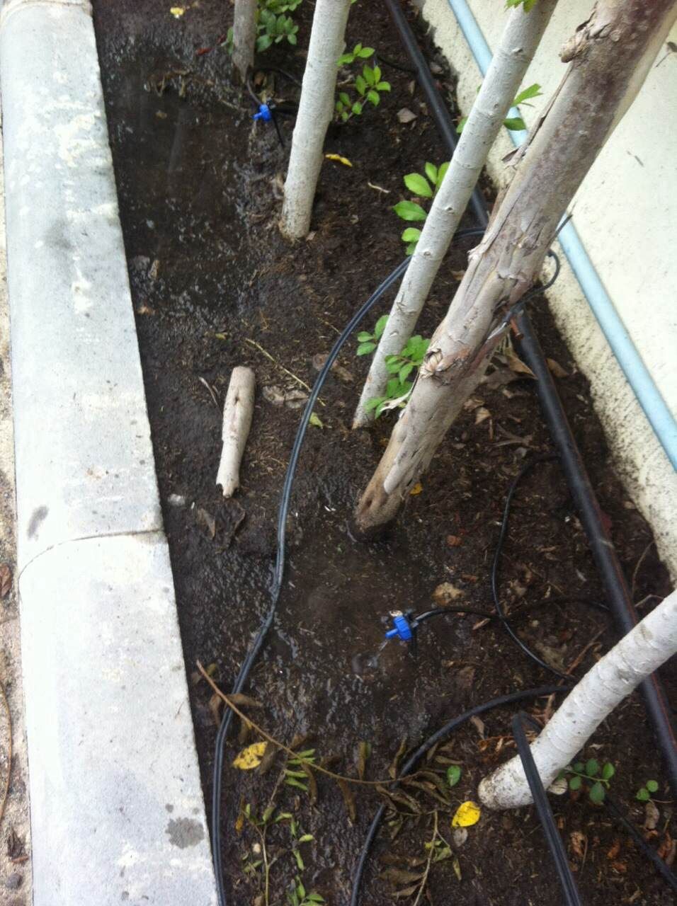 ออกแบบ รับเหมางานระบบรดน้ำต้นไม้และระบบพ่นหมอก แรงดันสูง แรงดันต่ำ