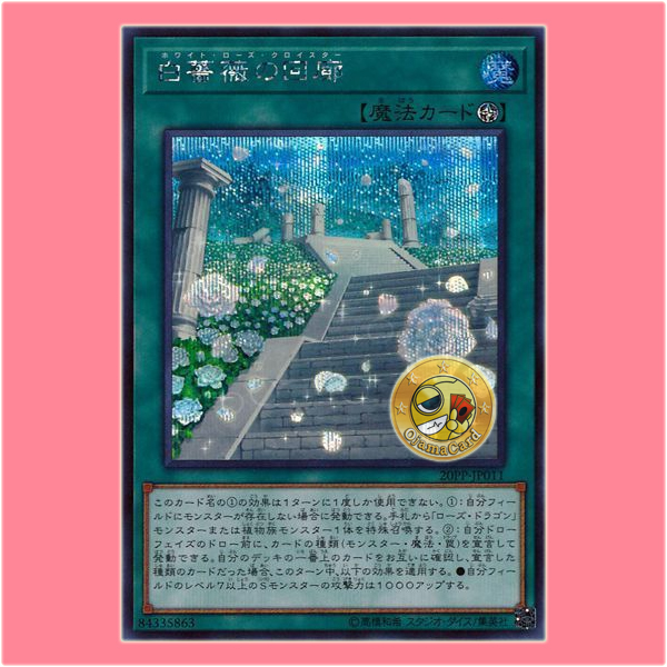 20PP-JP011 : White Rose Cloister (Secret Rare)