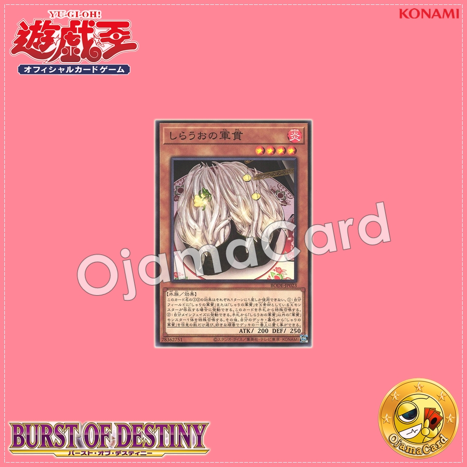 BODE-JP023 : Icefish Suship (Common)