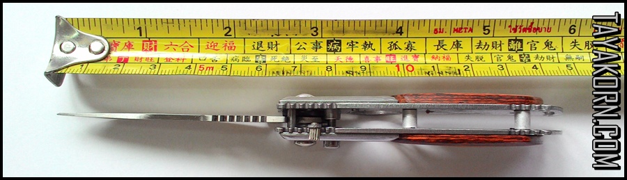 มีดพับ มินิ-โคนัน Mini-Conan Folding Knife (มีดสปริง)