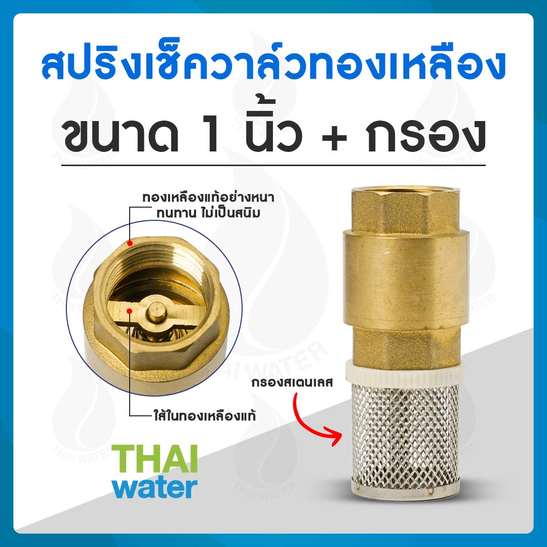สปริงเช็ควาล์ว 1"+กรอง