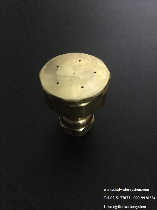 14-A-009 หัวพ่นยาทองเหลือง 5 รู