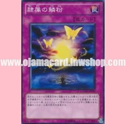 GAOV-JP070 : Butterflyoke (Common)