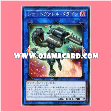 CYHO-JP040 : Miniborrel Dragon / Shortvarrel Dragon (Common)
