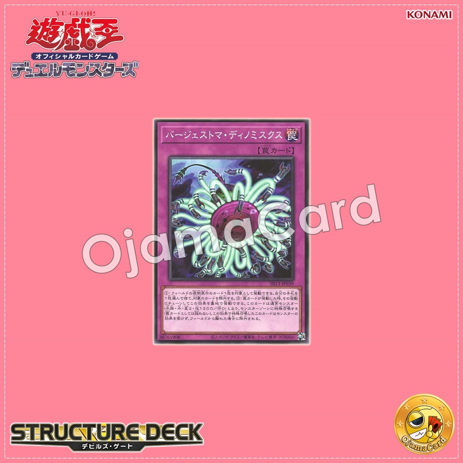 SR13-JP039 : Paleozoic Dinomischus / Burgesstoma Dinomischus (Common)