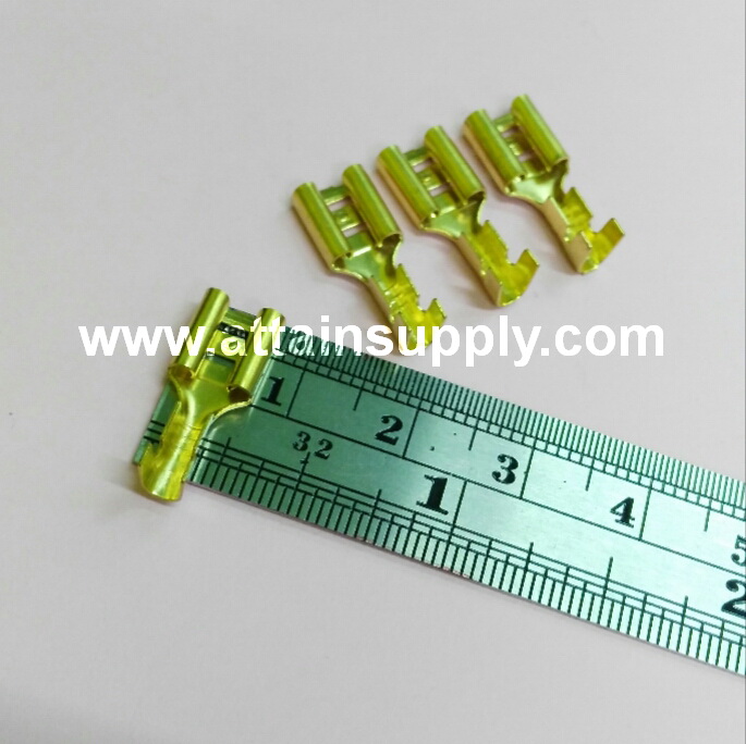 หางปลาทองเหลือง-แบน No.2