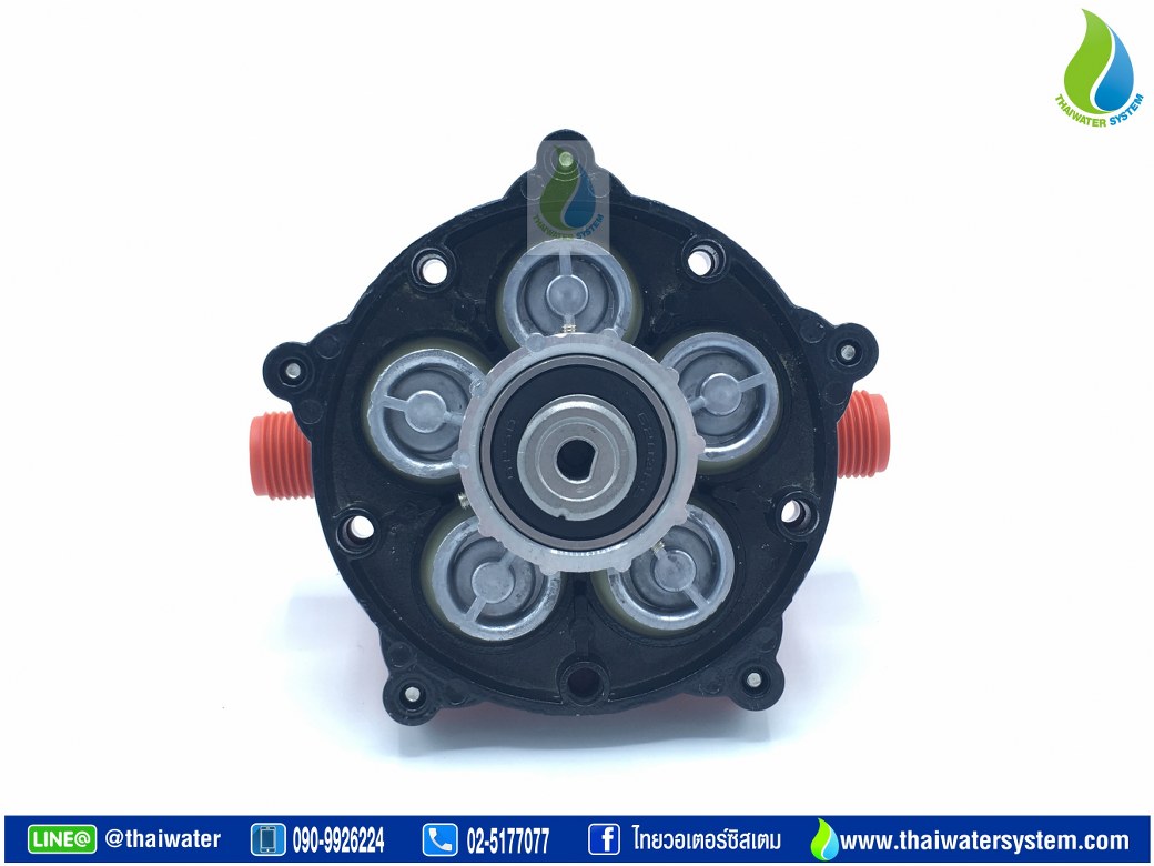 ไดอะแฟรม ปั๊มน้ำ DC12V/24V รุ่น SEAFLO-51