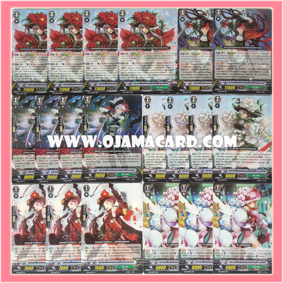 Neo Nectar Set / เนโอ เนคต้า เซต (VGT-CP16)