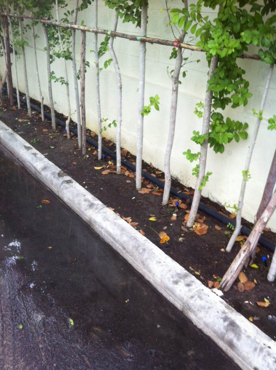 ออกแบบ รับเหมางานระบบรดน้ำต้นไม้และระบบพ่นหมอก แรงดันสูง แรงดันต่ำ