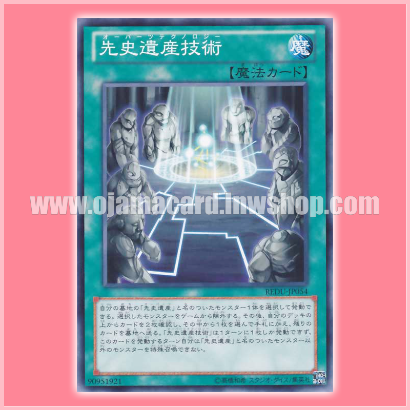 REDU-JP054 : Chronomaly Technology (Common)