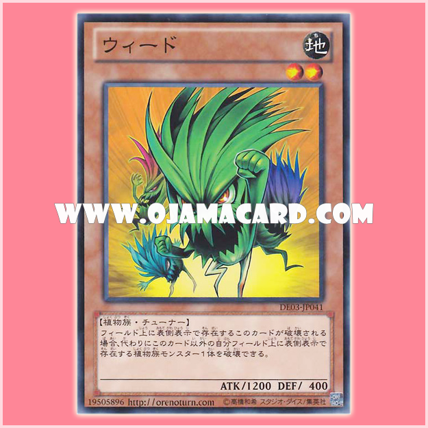 DE03-JP041 : Nettles / Weed (Common)