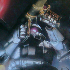 MG (022) 1/100 MS-06J ZAKU II " White Ogre "