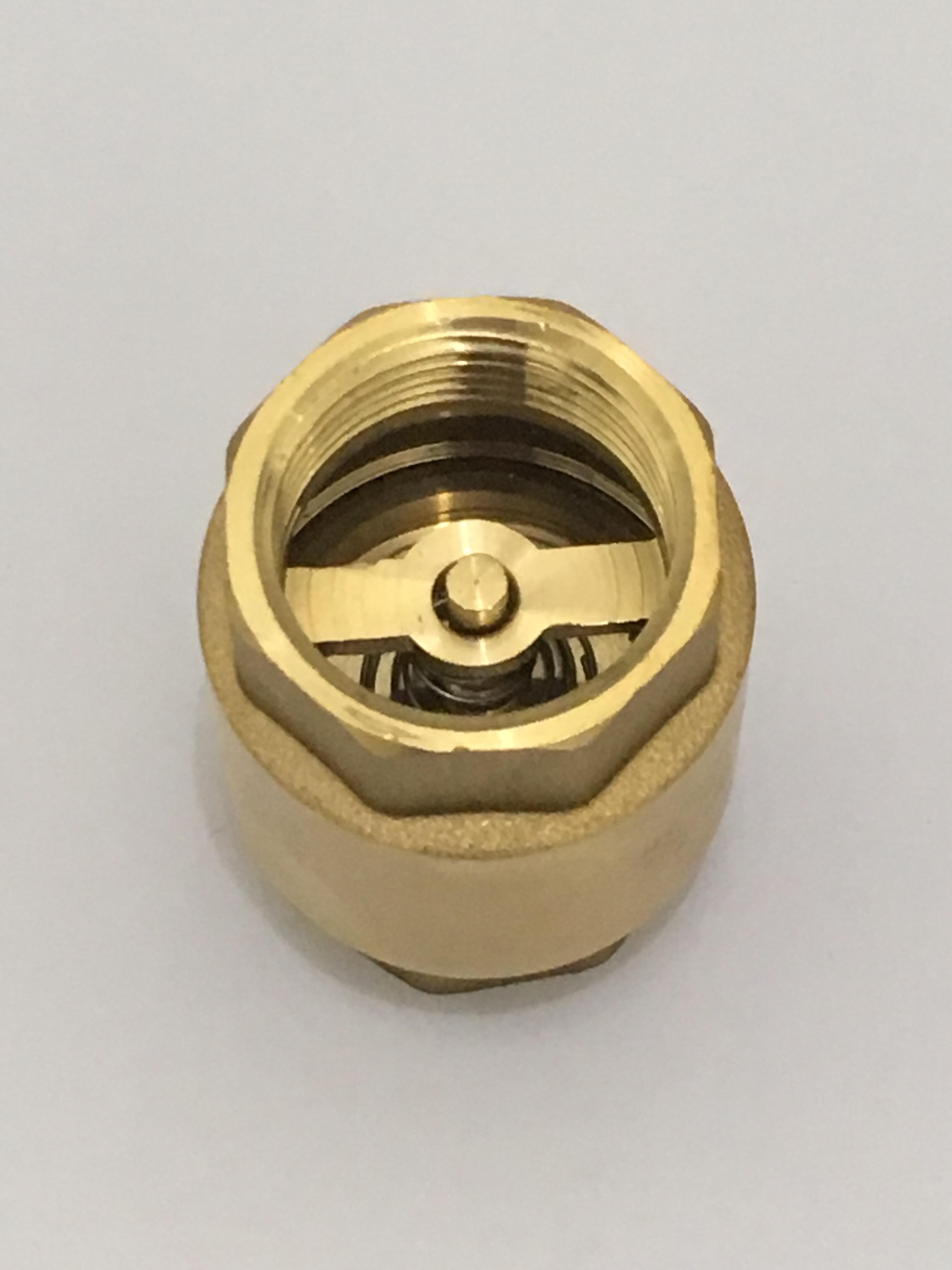 สปริงเช็ควาล์ว 2"