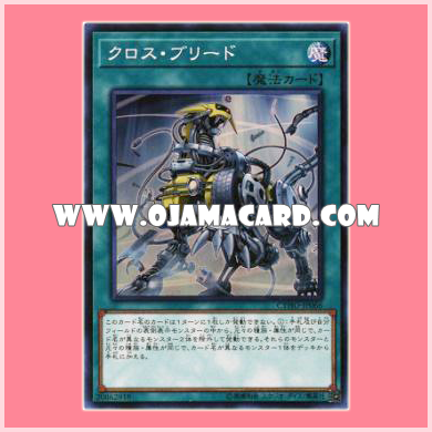 CYHO-JP066 : Cross Breed (Super Rare)