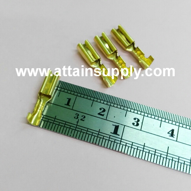 หางปลาทองเหลือง-แบน No.4