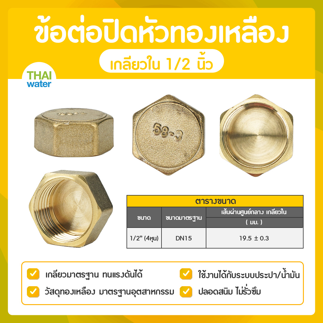 01-DN15 ข้อต่อปิดหัวทองเหลืองเกลียวใน 1/2 นิ้ว