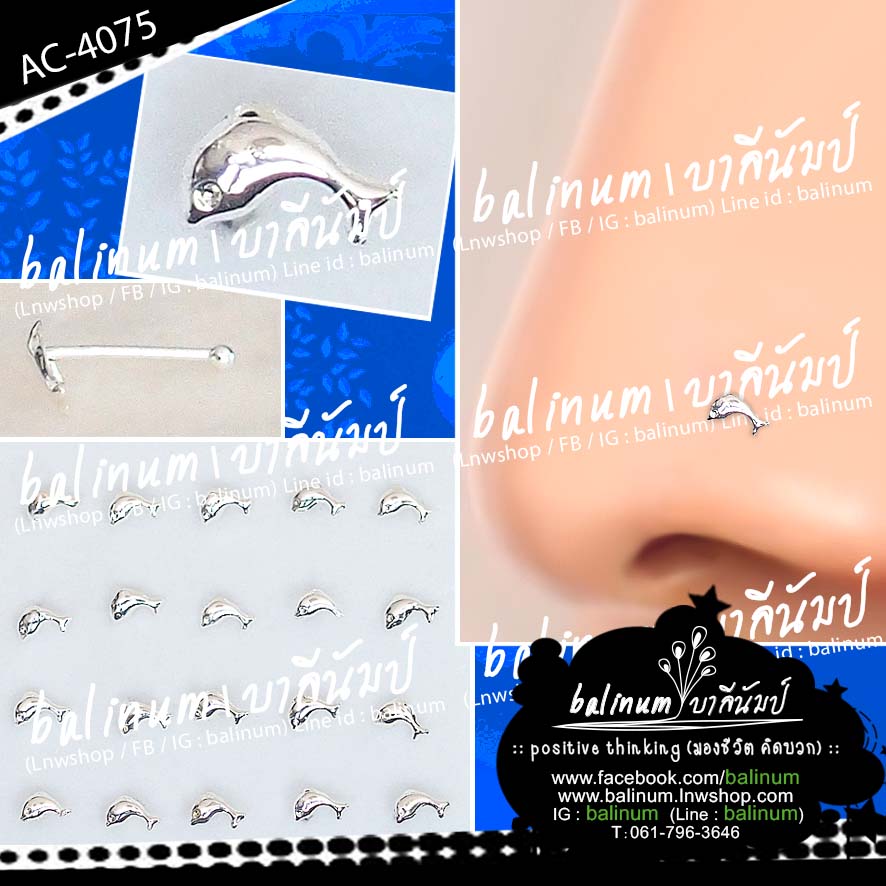 จิวจมูกก้านเจาะเงินแท้ 925 หัวรูปปลาโลมา มีตุ่มที่ปลายกันหลุด (ใส่ได้ทั้งผู้หญิงและผู้ชาย) เงิน (Silver)