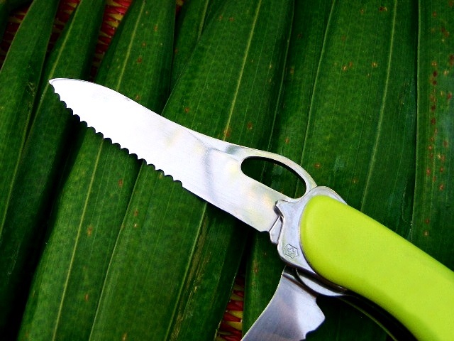 มีดชูชีพ Rescue Tool