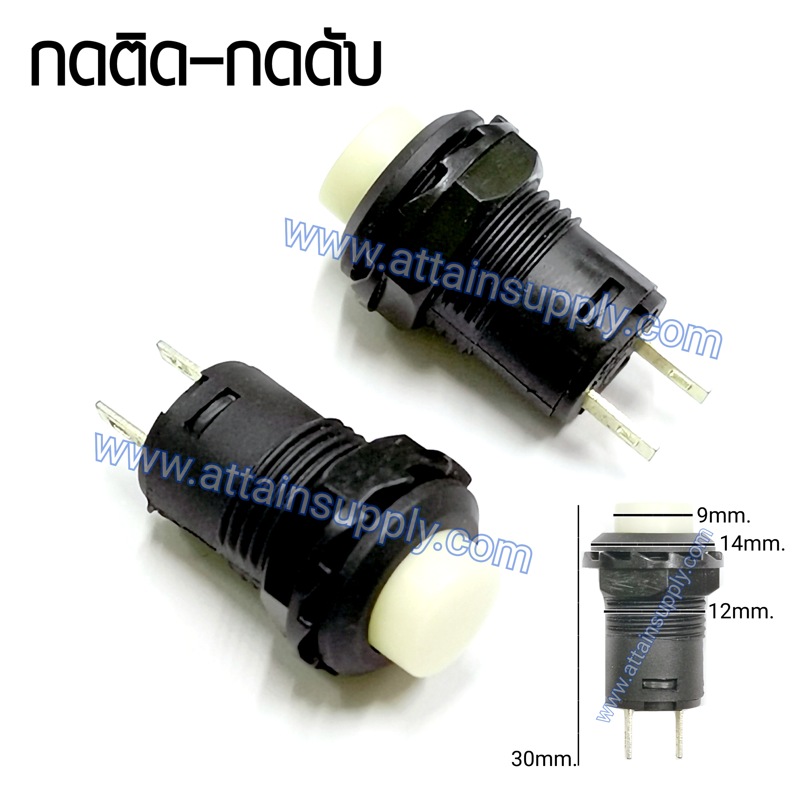 สวิทช์ กดติด-กดดับ/เกลียวพลาสติก-สีขาว