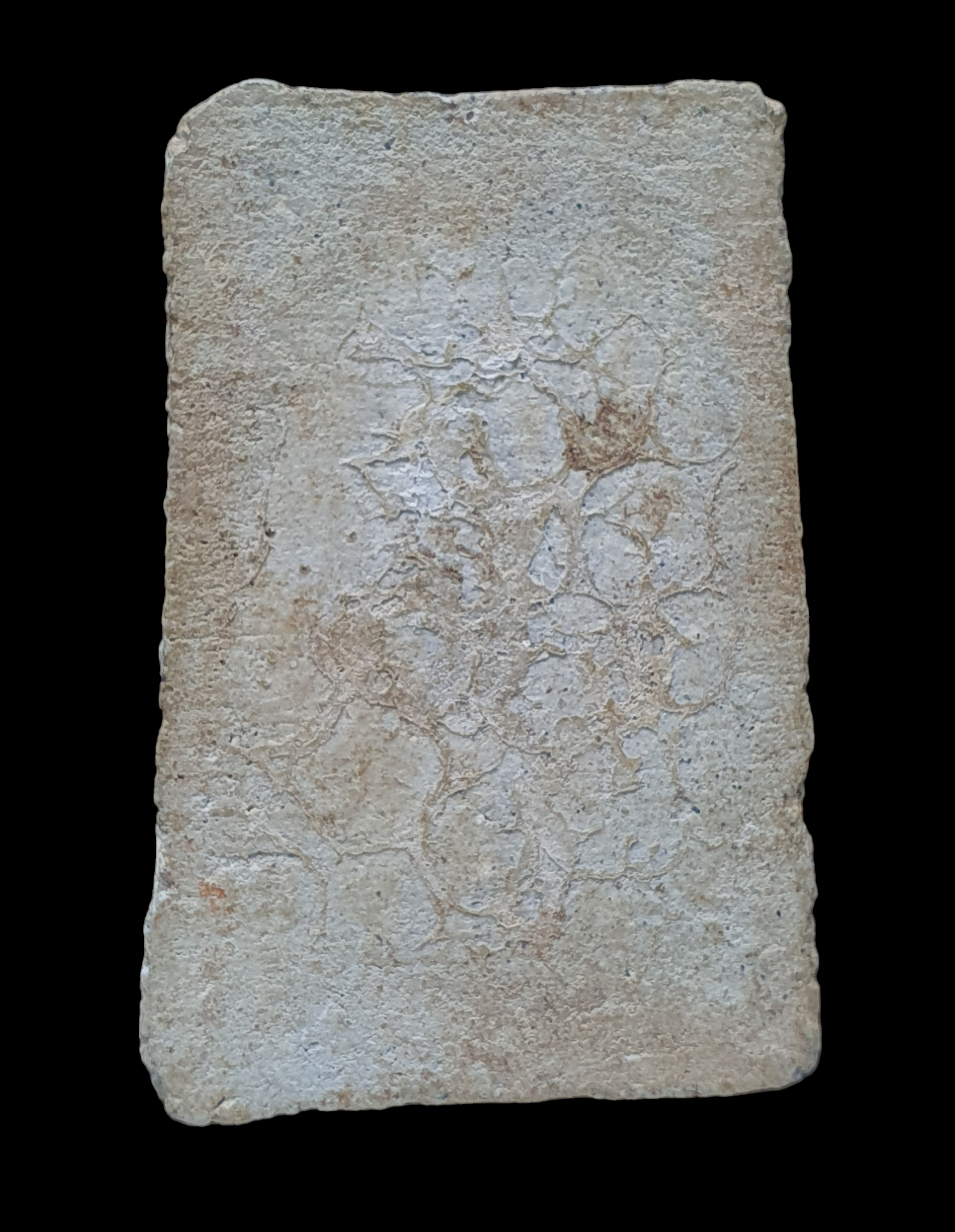 พระสมเด็จ ไม่ทราบแหล่ง