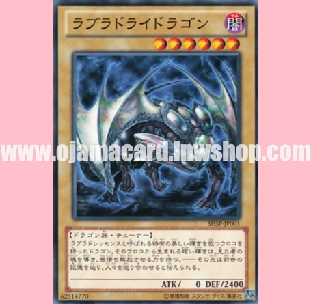 SHSP-JP001 : Labradorite Dragon / Labradoridragon (Common)