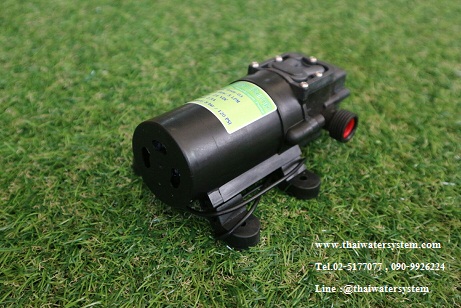 ปั๊มน้ำ DC24V Green-03 แรงดัน 8 บาร์ แบบเกลียวนอก 1/2" ( Pressure switch )